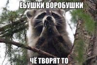 post-4386-0-21399400-1470379703_thumb.jpeg